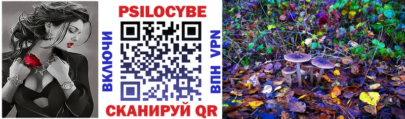 Псилоцибиновые грибы GOLDEN TEACHER Купить Гаджиево